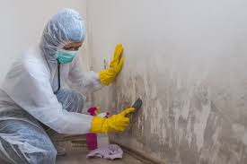 Biohazard Mold Removal in Parklawn, CA